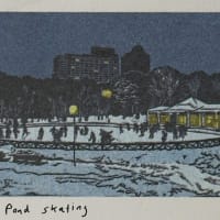 Frog Pond Skating mini print
