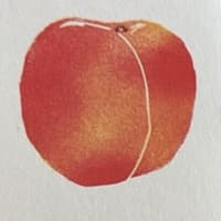 Nectarine mini print