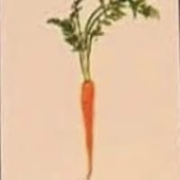 Carrot mini print