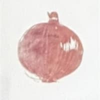 Red Onion mini print