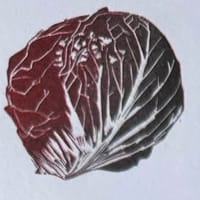 Radicchio mini print