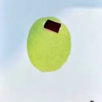 Shiny Olive mini print