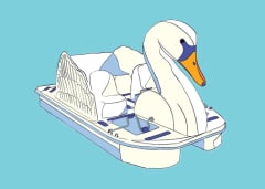 Swan Boat