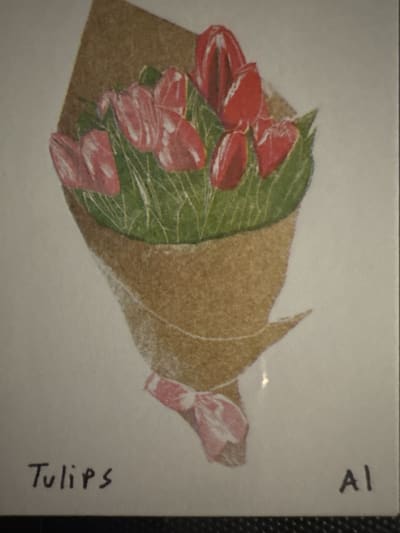 Tulips - Pink