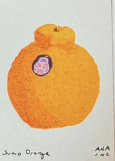Sumo Orange