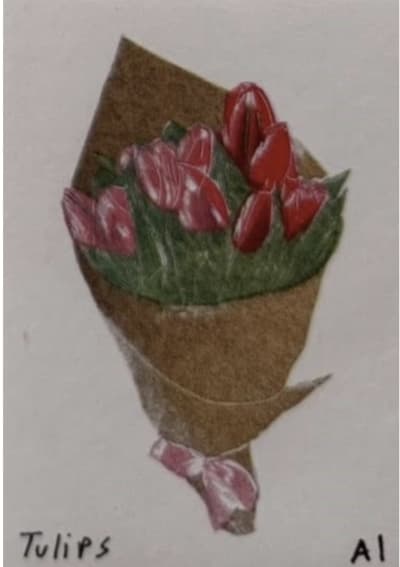 Tulips - Red