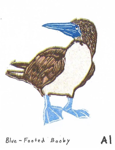Blue-Footed Booby