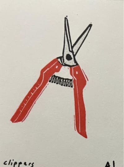 Clippers