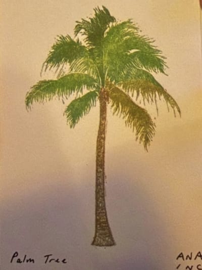 Palm Tree