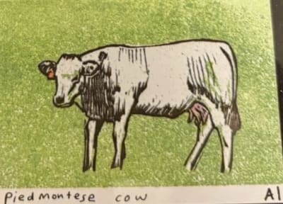 Piedmontese Cow, a Ana Inciardi mini print