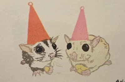 Sugar Gliders, a Ana Inciardi mini print