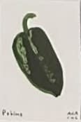 Poblano, a Ana Inciardi mini print