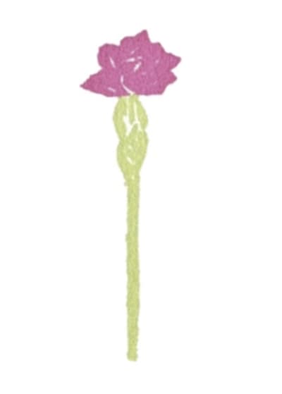 Flower #3 - Carnation