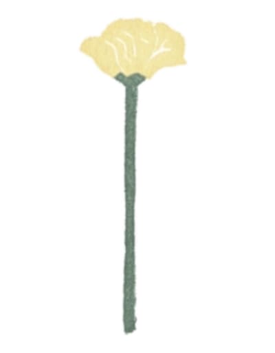 Flower #6 - Buttercup