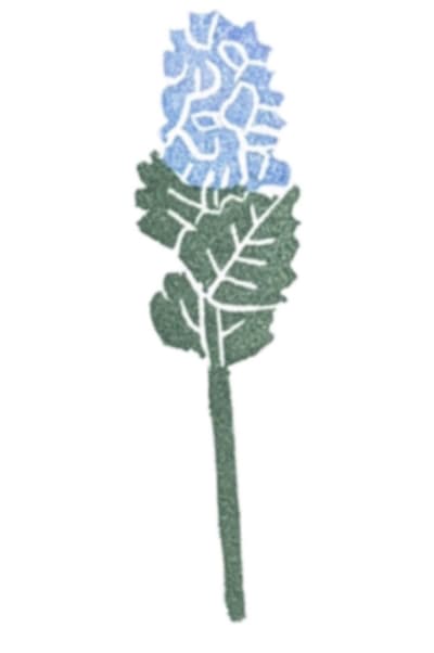 Flower #9 - Hydrangea