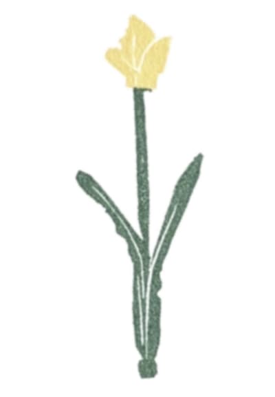 Flower #11 - Yellow Tulip