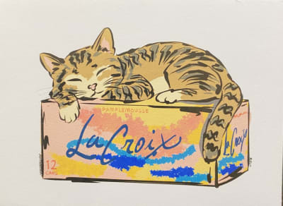 LaCroix Cat