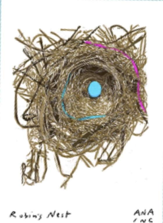 Robins Nest, an Ana Inciardi mini print