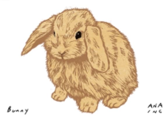 Bunny, an Ana Inciardi mini print