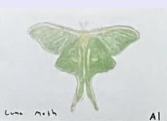 Luna Moth, an Ana Inciardi mini print