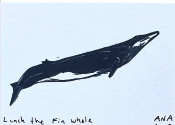 Lunch the Fin Whale, an Ana Inciardi mini print