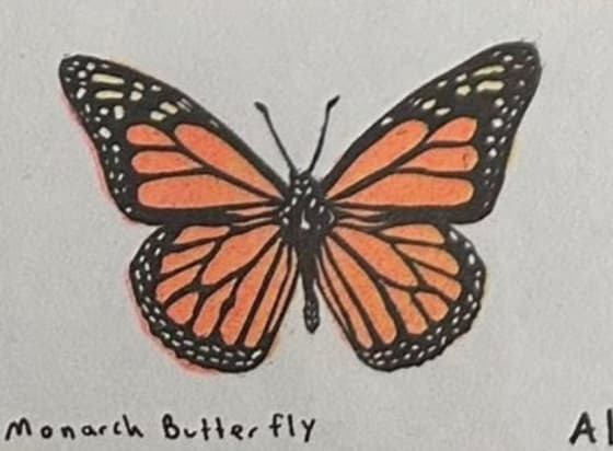Monarch Butterfly, an Ana Inciardi mini print