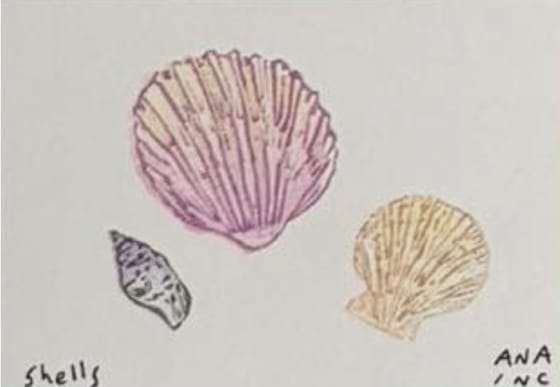 Shells, an Ana Inciardi mini print