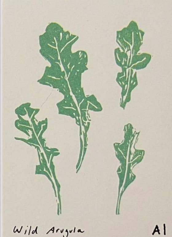 Wild Arugula, an Ana Inciardi mini print