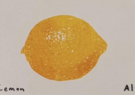 Lemon, an Ana Inciardi mini print