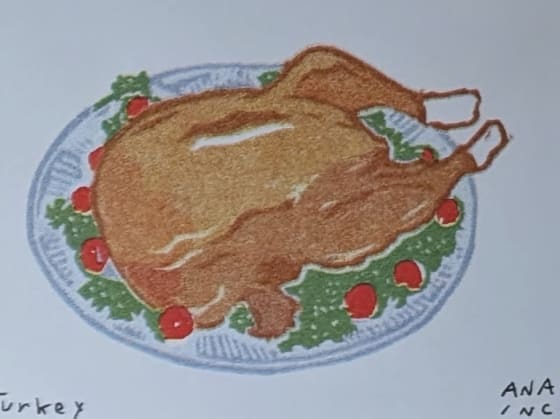 Turkey, an Ana Inciardi mini print