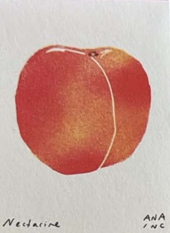 Nectarine, an Ana Inciardi mini print