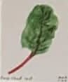 Swiss Chard Leaf, an Ana Inciardi mini print