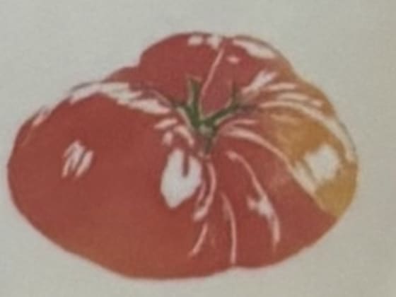 Heirloom Orange, an Ana Inciardi mini print