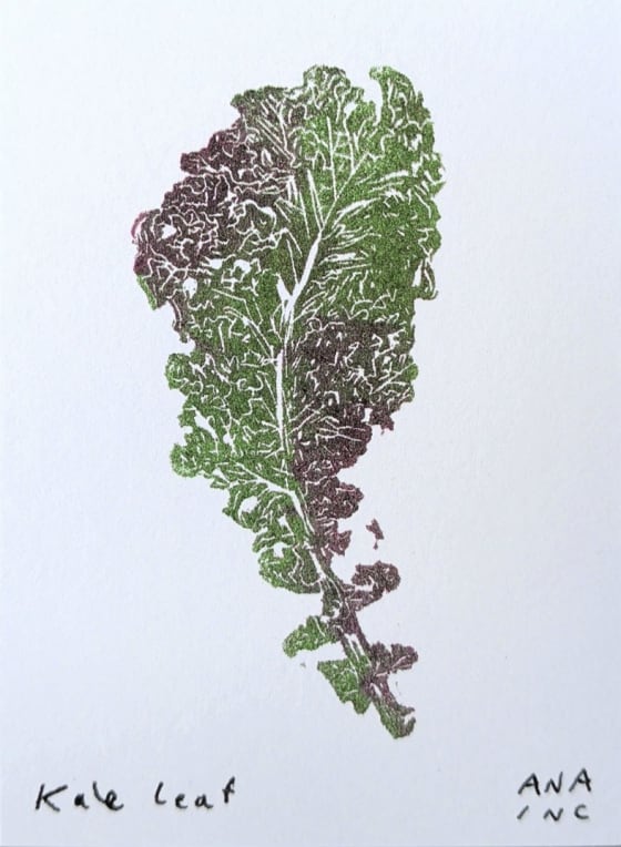 Kale Leaf, an Ana Inciardi mini print