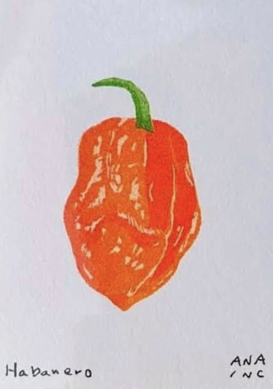 Habanero, an Ana Inciardi mini print