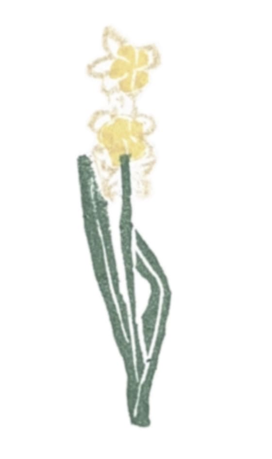 Flower #8 - Daffodil, a Bright Side Prints mini print