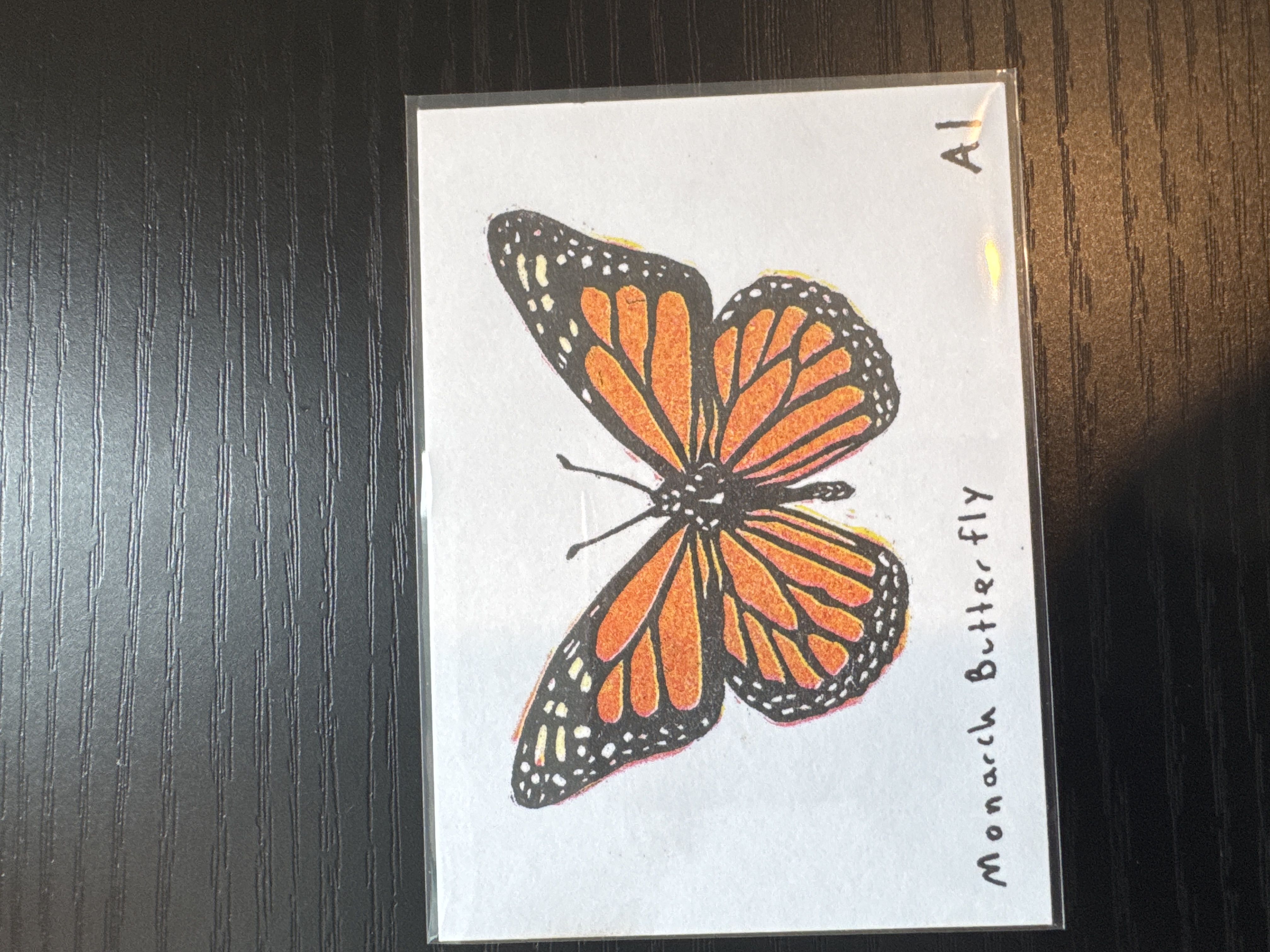 Monarch Butterfly