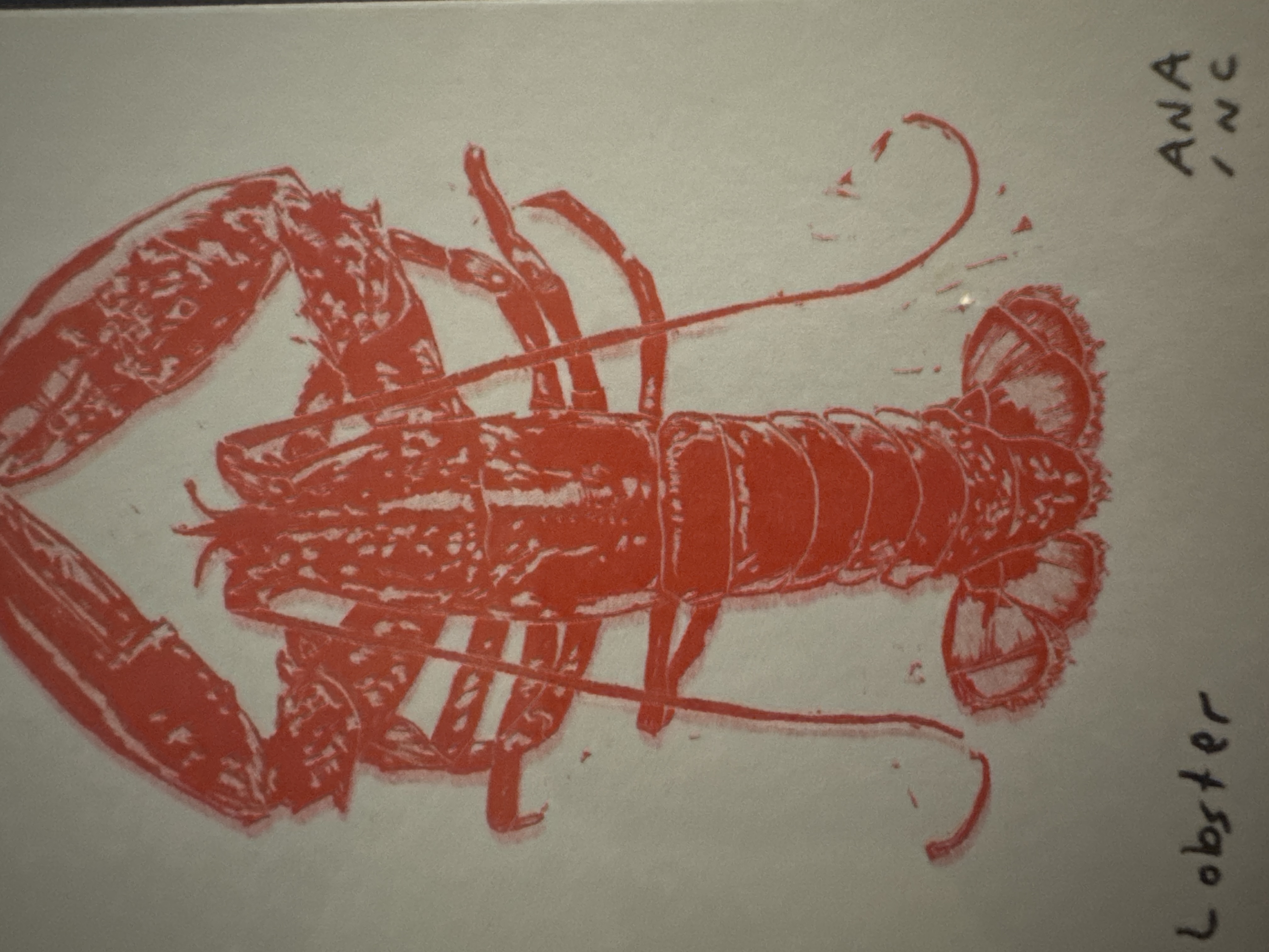 Lobster