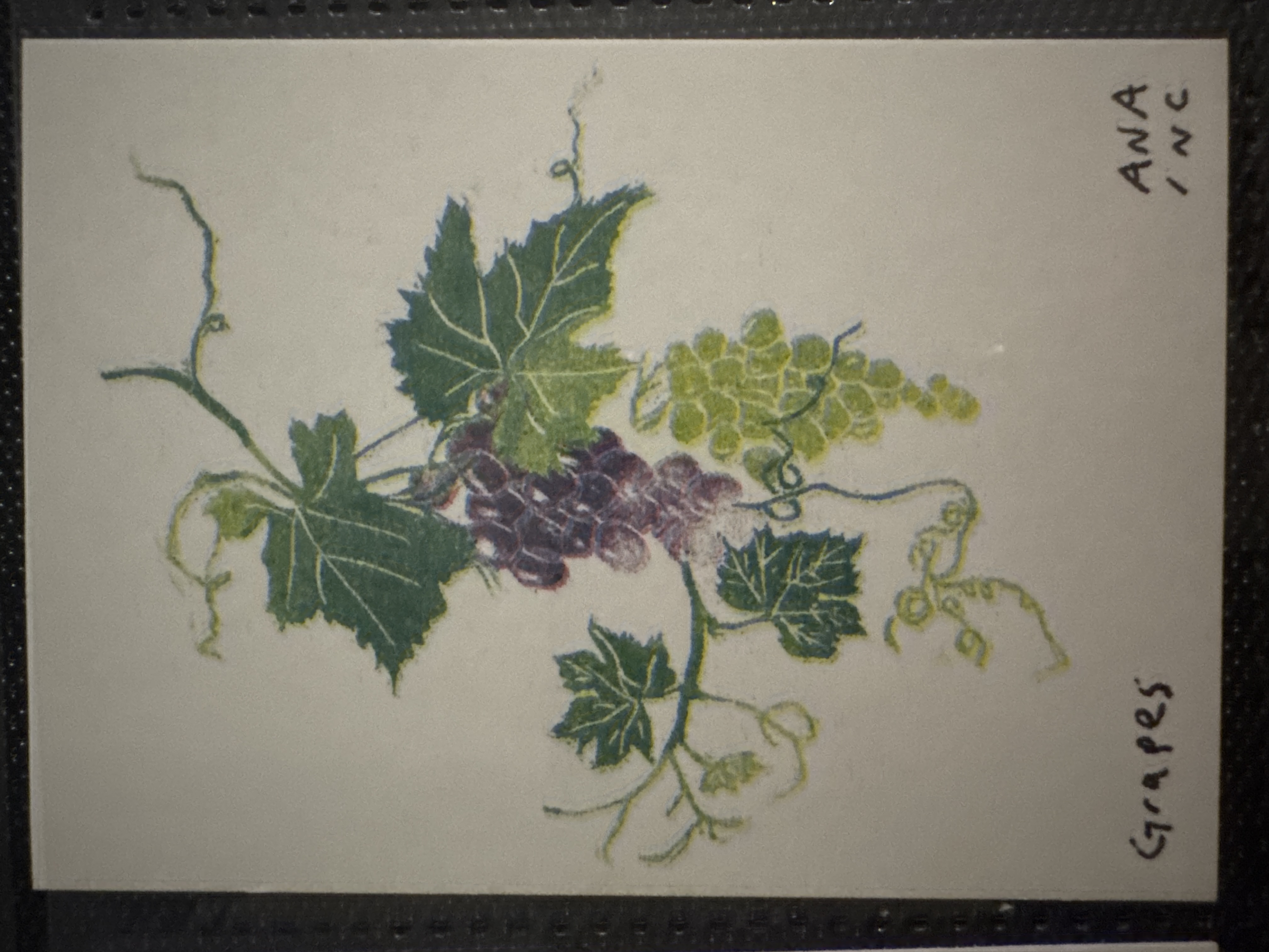 Grapes