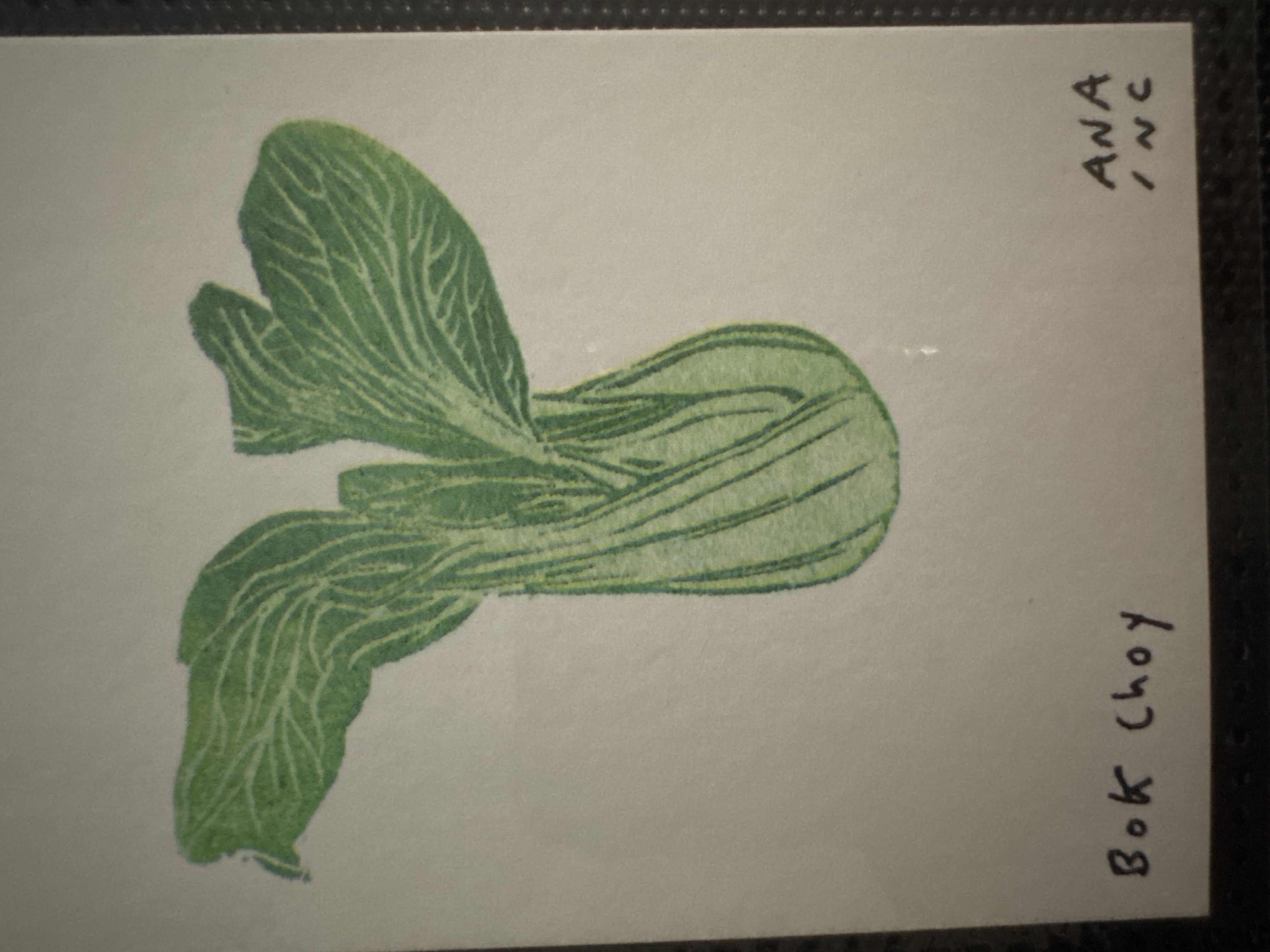 Bok Choy