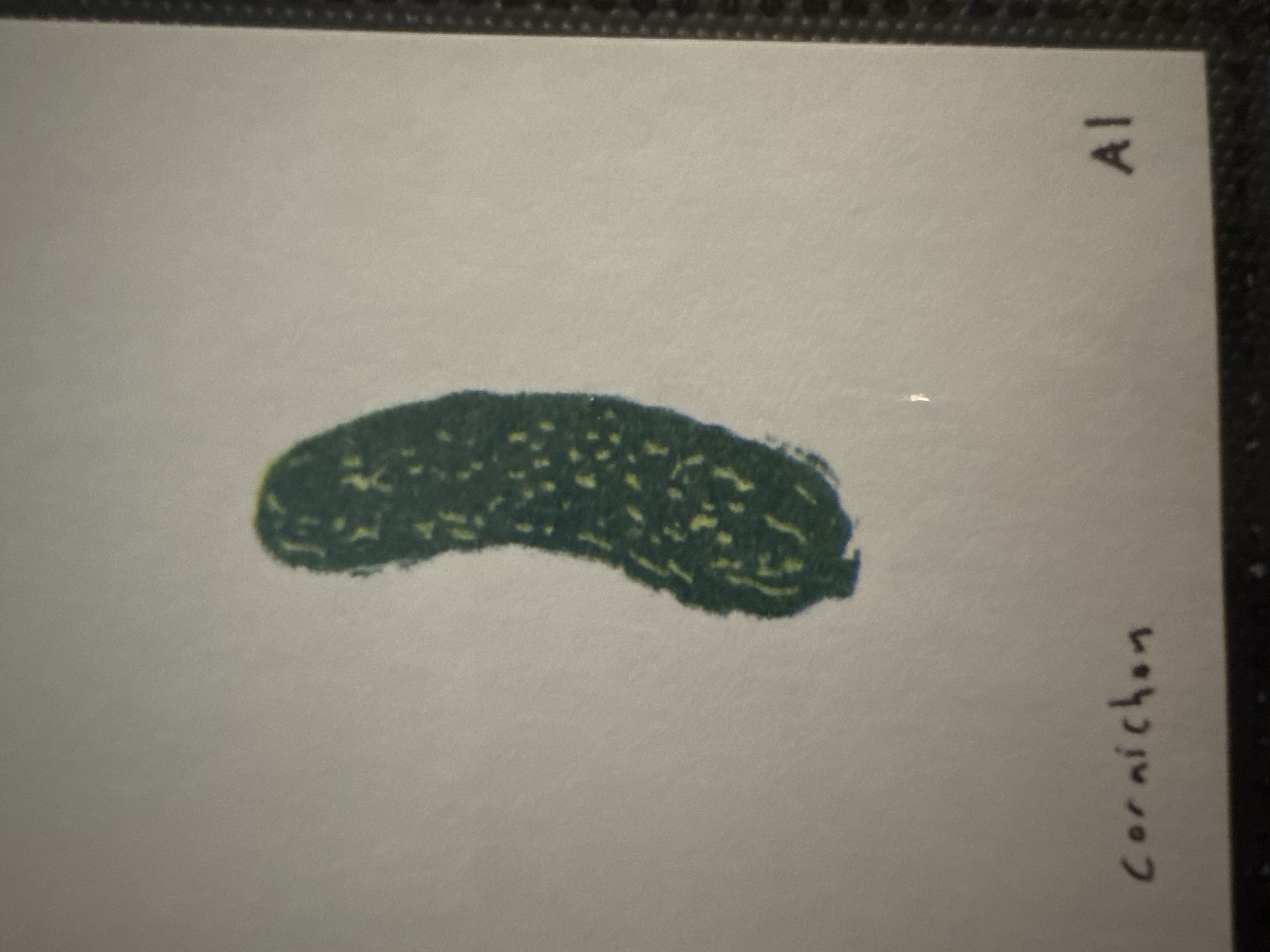 Cornichon