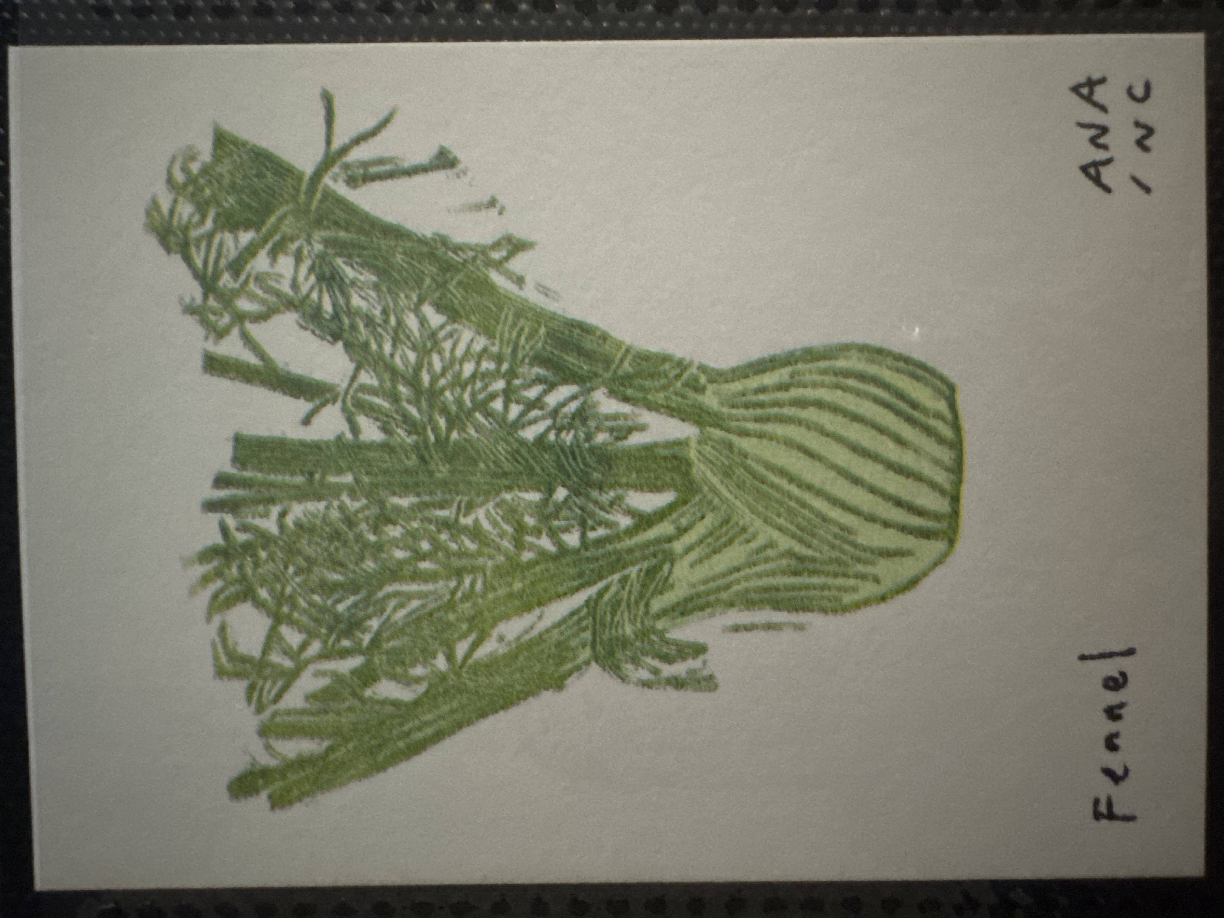 Fennel