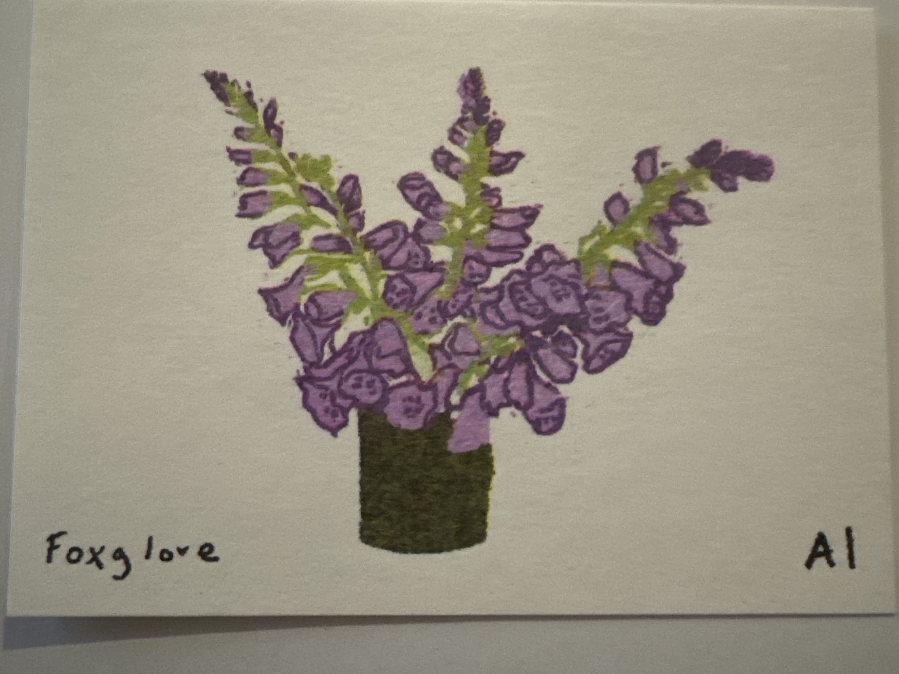 Foxglove