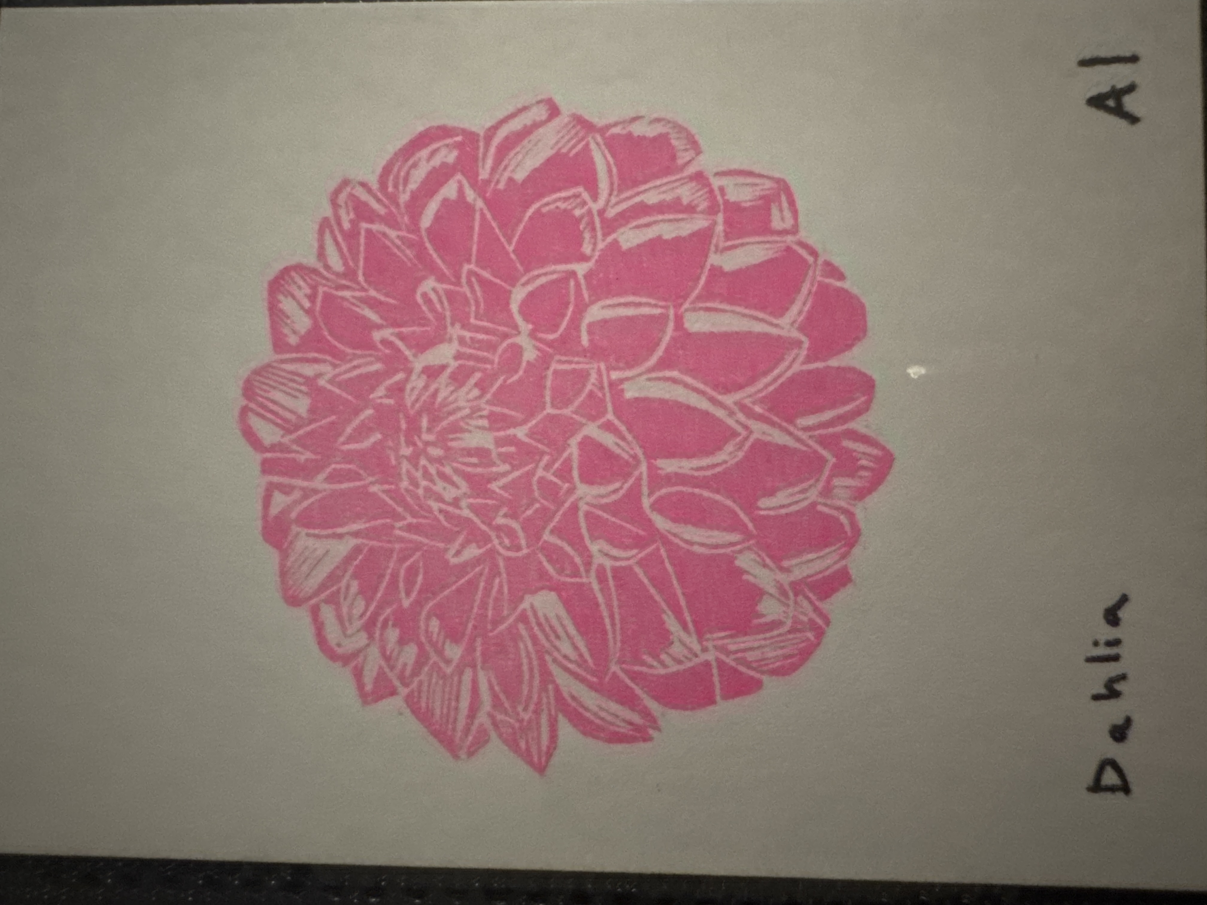 Dahlia