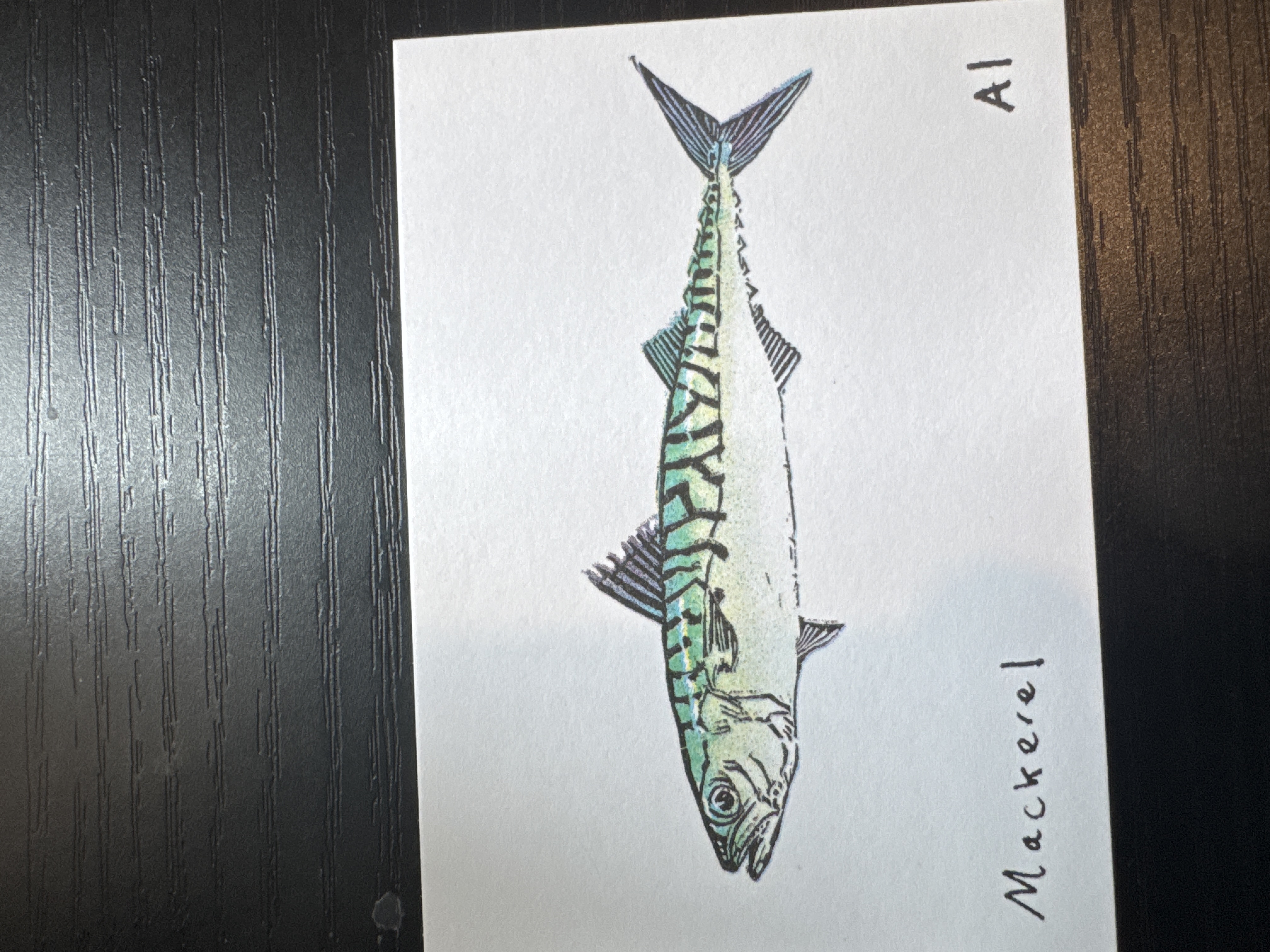 Mackerel