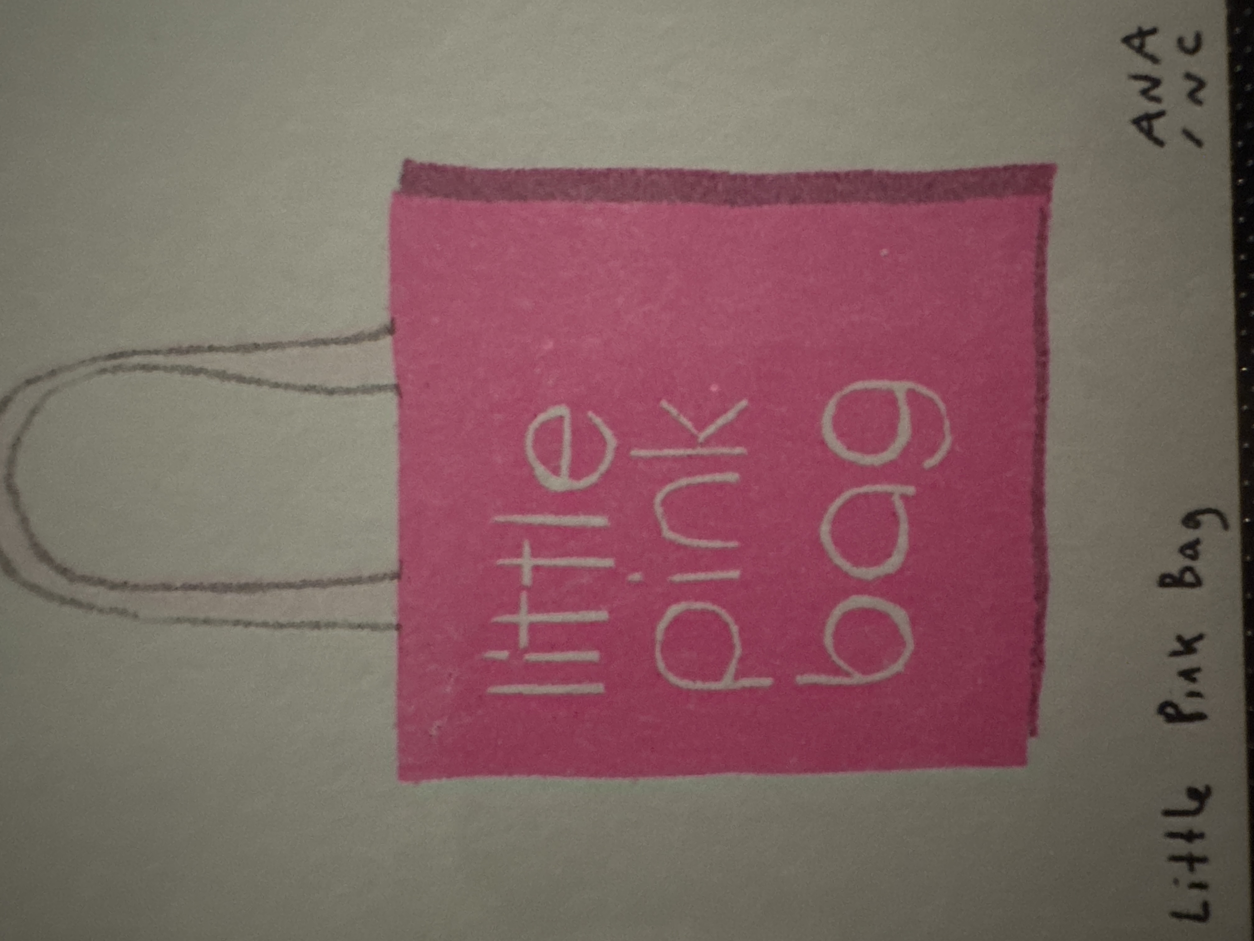 Little Pink Bag