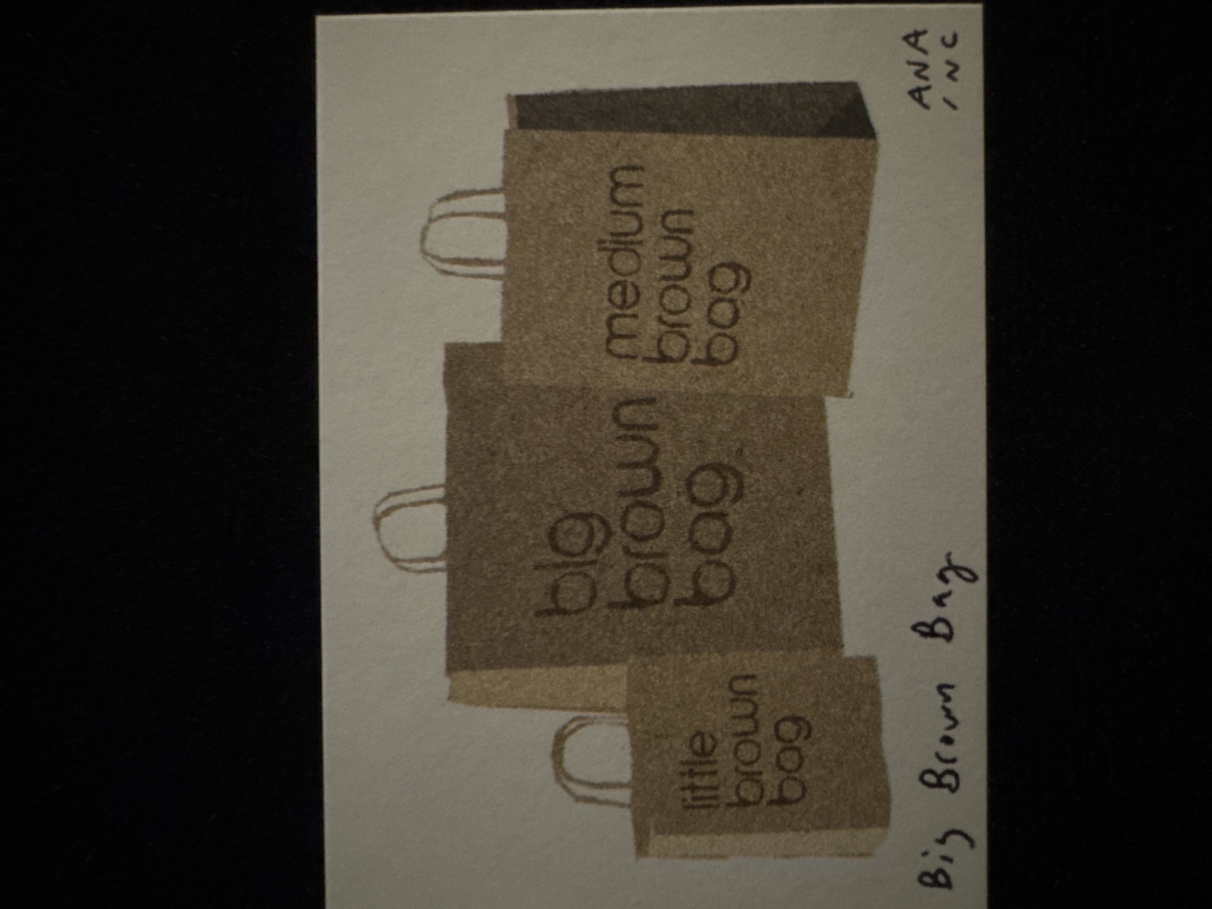 Big Brown Bag