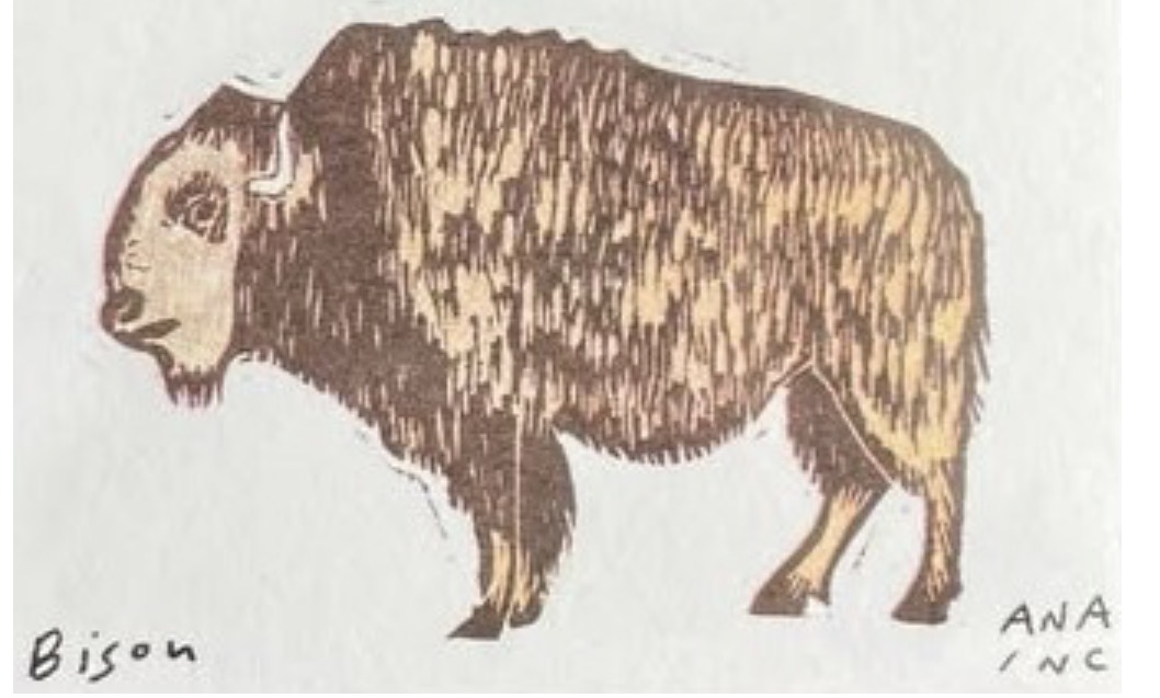 Bison