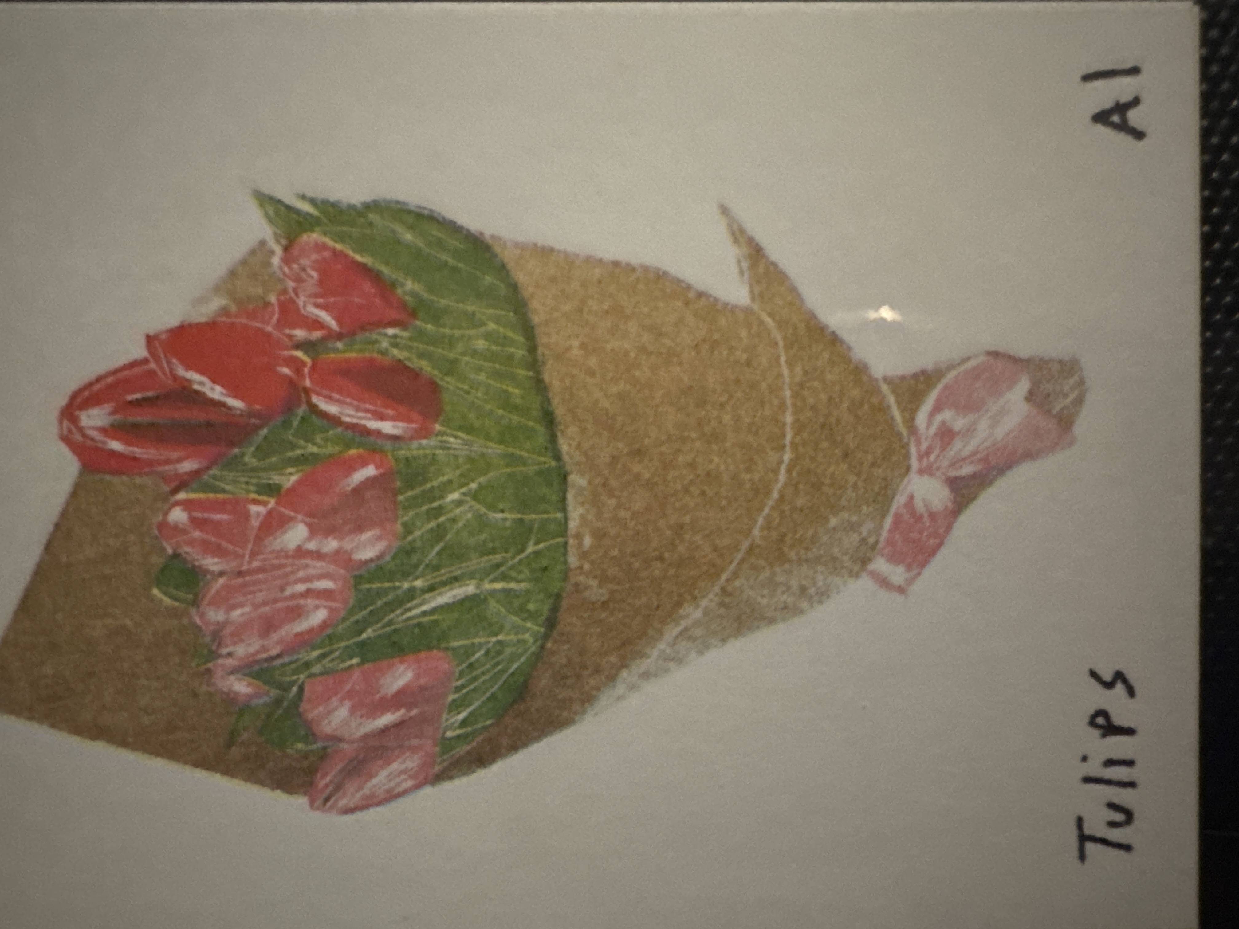 Tulips - Pink