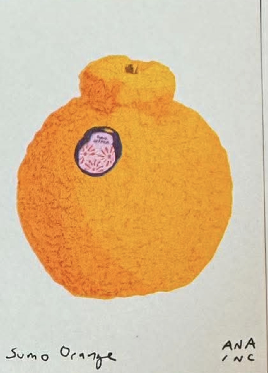 Sumo Orange